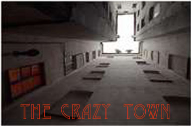 the crazy town